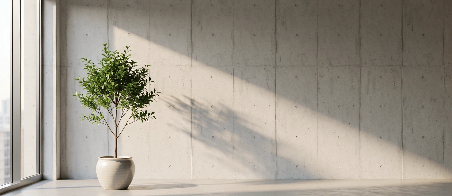 Serene architectural space